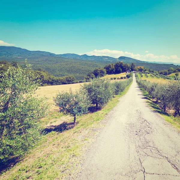 Yol — Stok fotoğraf