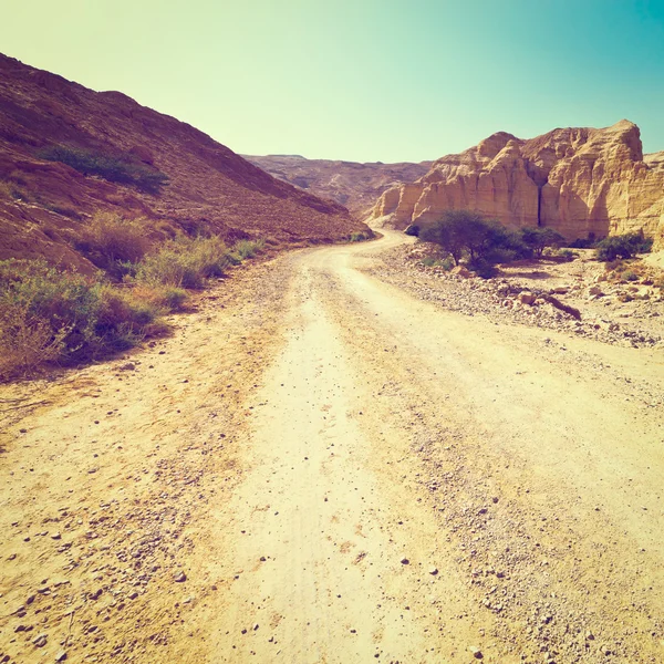 사막의 길 — 스톡 사진