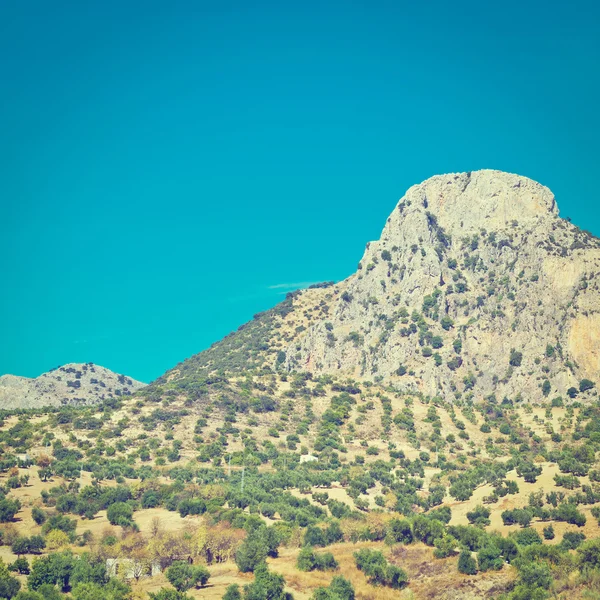 Montaña — Foto de Stock