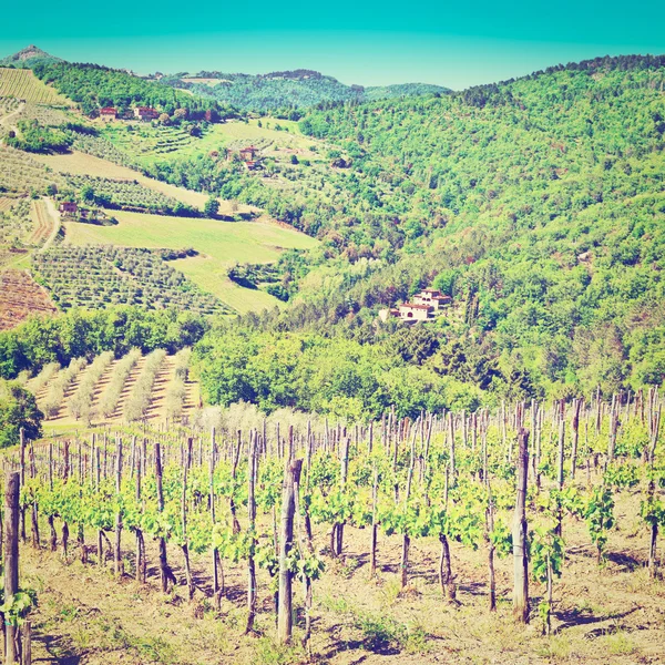 Chianti-regionen — Stockfoto