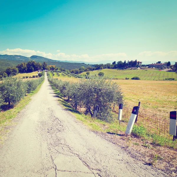 Farmhouse — Stock Photo, Image