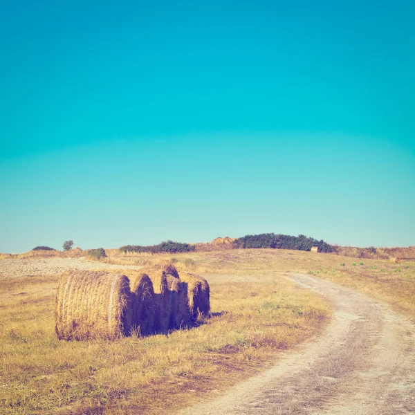 Estrada da sujeira que conduz à casa da fazenda na Toscana, efeito Instagram — Fotografia de Stock