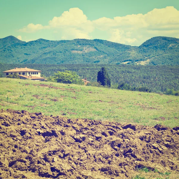 Campo folheado — Fotografia de Stock