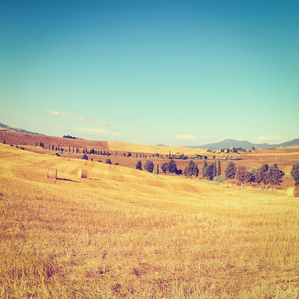 Hay balyaları — Stok fotoğraf