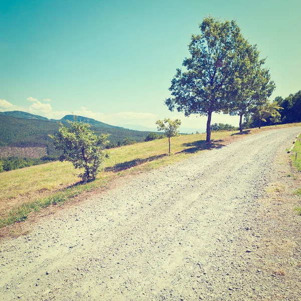 Toprak yol — Stok fotoğraf