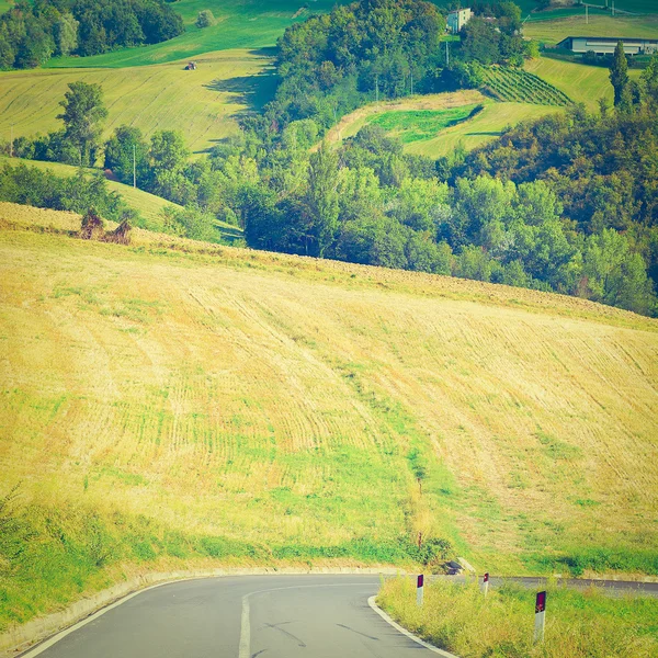 Strada in Toscana — Foto Stock