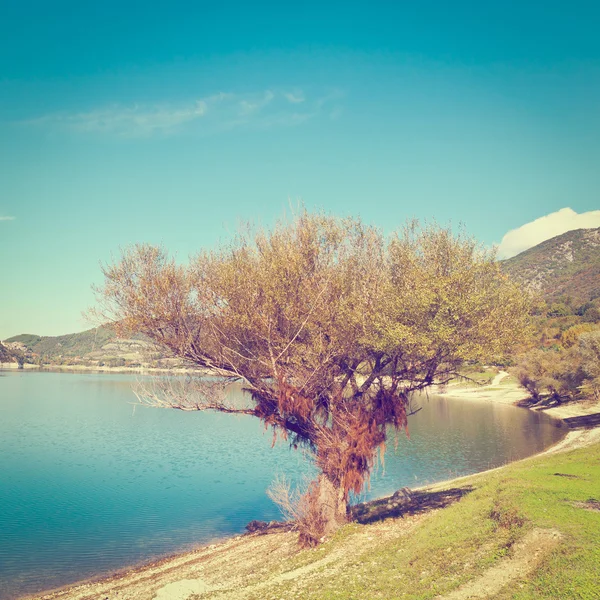 Lago — Fotografia de Stock