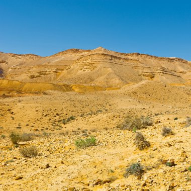 tepeler 