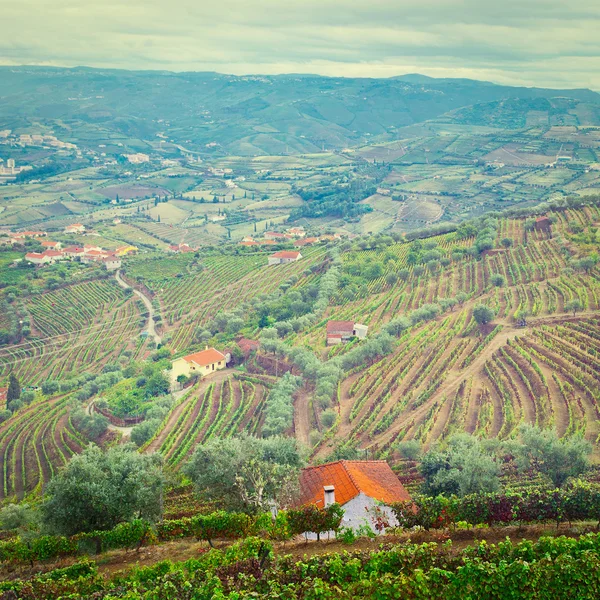 Farmhouse — Stock Photo, Image