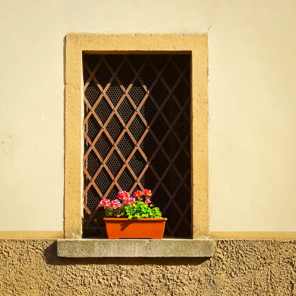 Window — Stock Photo, Image