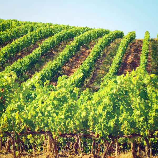 Tuscany — Stock Photo, Image