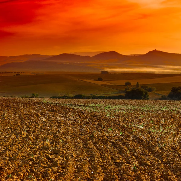 Plowed Field — Stock Photo, Image