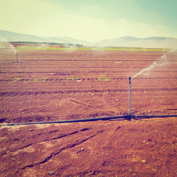 Irrigatore — Foto Stock
