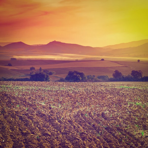 Geploegd veld — Stockfoto