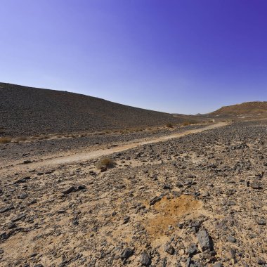 İsrail 'deki Negev Çölü' nün Rocky tepeleri. Ortadoğu 'nun nefes kesici manzarası ve doğası.