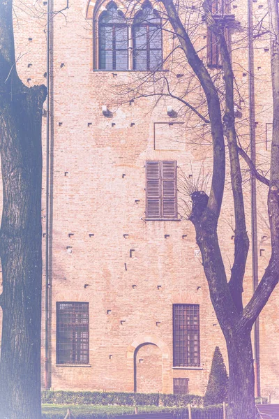 Märklig Skugga Träd Gården Hertigen Gonzagas Palats Mantua Bleknad Färg — Stockfoto
