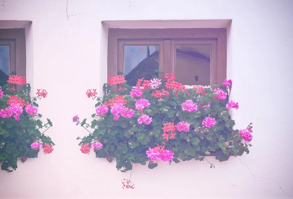 シャッターのないバイエルンの典型的な窓 色あせた色効果で新鮮な花で飾られた — ストック写真