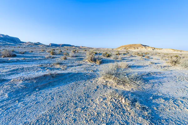 Impresionante Paisaje Las Formaciones Rocosas Desierto Israel Escena Sin Vida — Foto de Stock