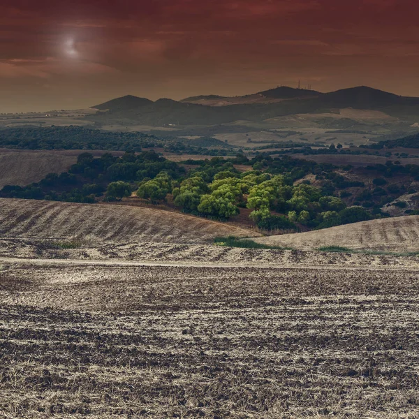 Pola Hiszpanii Zbiorze Świetle Księżyca Zapierające Dech Piersiach Krajobraz Przyroda — Zdjęcie stockowe
