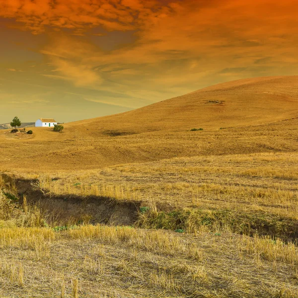 Colonica Sul Campo Dopo Raccolta All Alba Spagna Paesaggio Mozzafiato — Foto Stock