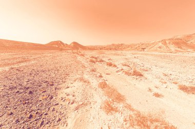 İsrail çölündeki kaya oluşumlarının nefes kesici manzarası şafak vakti çağdaş bir tarzda. Yalnızlık, umutsuzluk ve depresyon kavramı olarak cansız ve ıssız bir sahne..