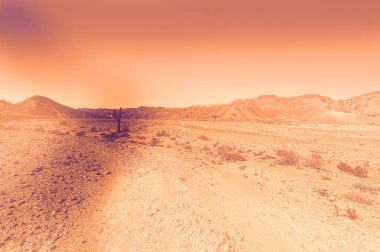 İsrail çölündeki kaya oluşumlarının nefes kesici manzarası şafak vakti çağdaş bir tarzda. Yalnızlık, umutsuzluk ve depresyon kavramı olarak cansız ve ıssız bir sahne..