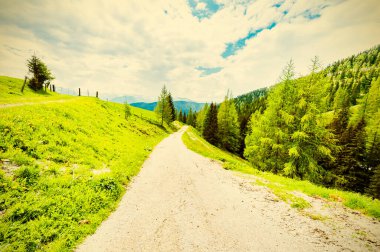 Avusturya topraklarında ormanlar, tarlalar, otlaklar ve çayırlarla çevrili bir toprak yol. Klasik stil 