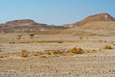 İsrail 'deki Negev Çölü' nün kayalık tepelerinde yalnızlık ve boşluk. Ortadoğu 'nun nefes kesici manzarası ve doğası.