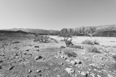 İsrail 'deki Negev Çölü' nün kayalık tepelerinde yalnızlık ve boşluk. Ortadoğu 'nun nefes kesici manzarası ve doğası. Siyah beyaz fotoğraf