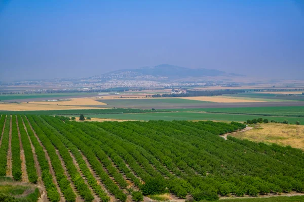 Widok Izraelskie Wzgórza Golan Winnicami Rozwinięte Rolnictwo Druze Miast Utwardzonych — Zdjęcie stockowe
