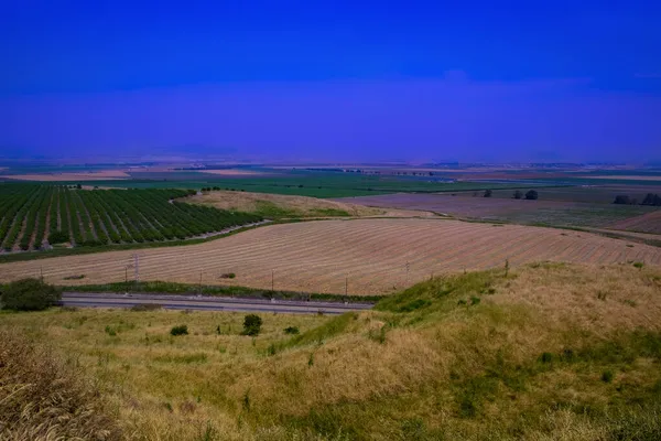 ブドウ畑と開発された農業 都市や舗装道路でイスラエルのゴラン高原の眺め — ストック写真