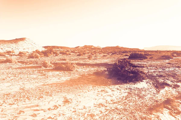 Paisagem Tirar Fôlego Das Formações Rochosas Deserto Israel Amanhecer Estilo — Fotografia de Stock