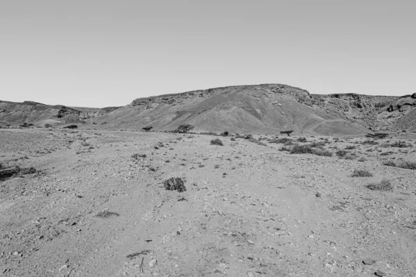 以色列沙漠中岩石形成的令人叹为观止的景象 黑白分明 作为孤独 绝望和沮丧概念的无生命和凄凉景象 — 图库照片