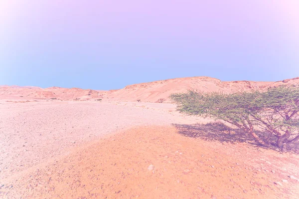Zapierający Dech Piersiach Krajobraz Formacji Skalnych Izraelskiej Pustyni Wyblakłym Kolorze — Zdjęcie stockowe