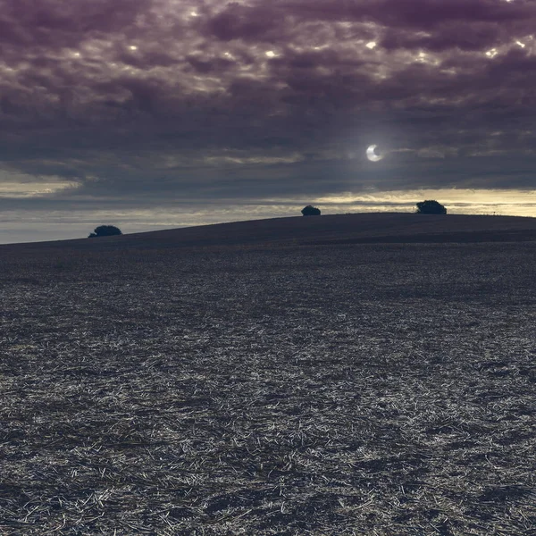 Pola Hiszpanii Zbiorze Świetle Księżyca Zapierające Dech Piersiach Krajobraz Przyroda — Zdjęcie stockowe