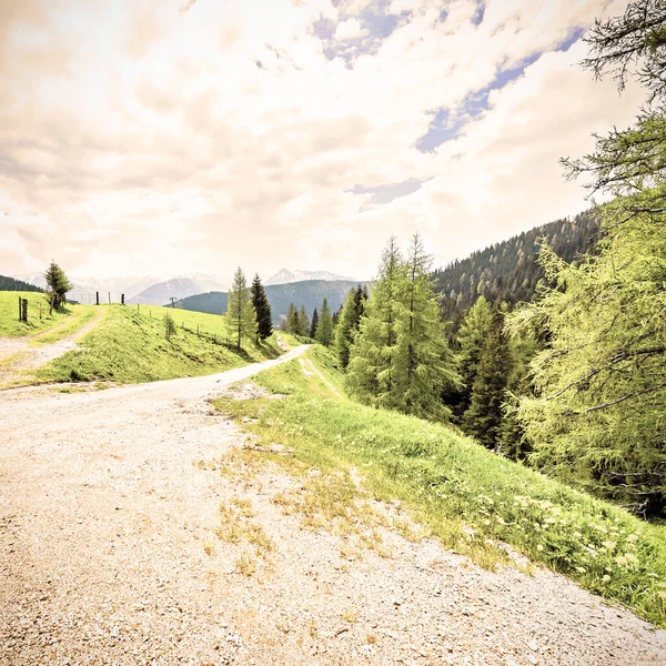 Kręta Ścieżka Brudu Austriackim Krajobrazie Lasami Polami Pastwiskami Łąkami Styl — Zdjęcie stockowe