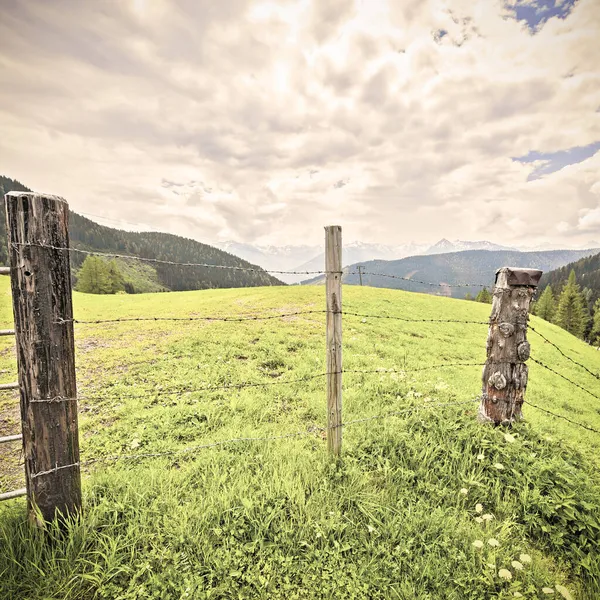 Pasture Fenced Barbed Wire Austrian Alps Background Snow Capped Peaks — Stock Photo, Image
