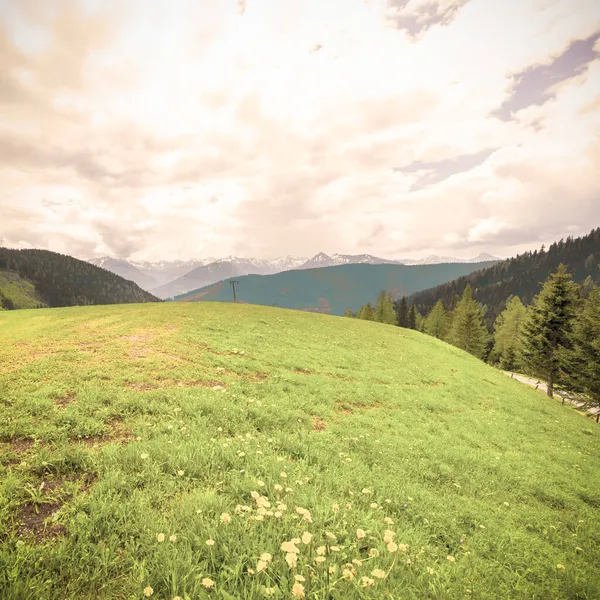 Österreichische Landschaft Mit Wäldern Feldern Weiden Und Wiesen Hintergrund Der — Stockfoto