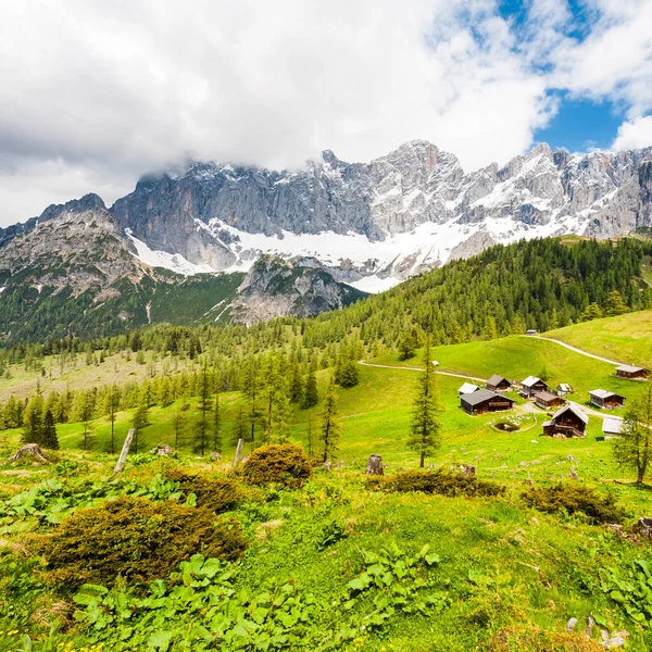 Austrian Village Surrounded Forests Meadows Fields Pastures Background Snow Capped — Stock Photo, Image