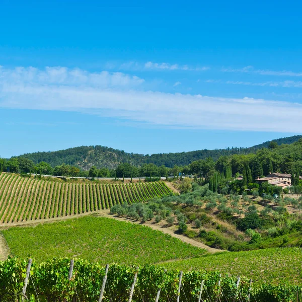 Tuscany Landscape Country House Olive Groves Vineyards Italian Wine Farm — Stock Photo, Image