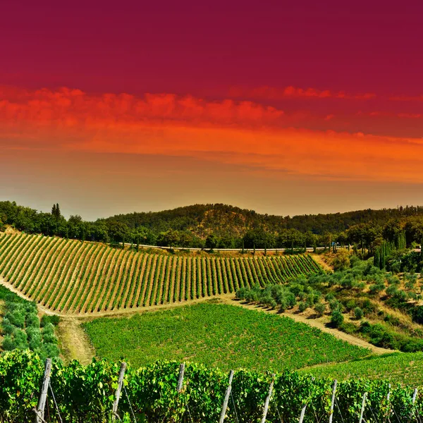 Tuscany Landscape Country House Olive Groves Vineyards Italian Wine Farm — Stock Photo, Image