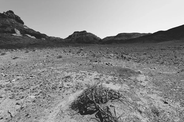 Soledad Vacío Las Colinas Rocosas Del Desierto Del Neguev Israel — Foto de Stock