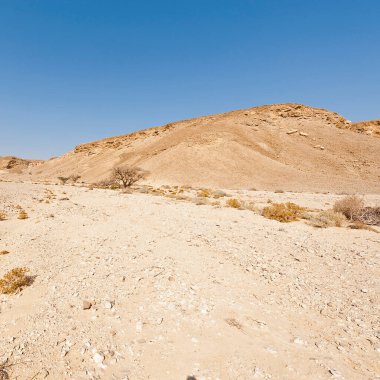 İsrail 'deki Negev Çölü' nün Rocky tepelerinin sonsuz ıssızlığı. Ortadoğu 'nun nefes kesici manzarası ve doğası.