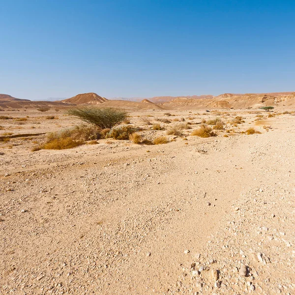 Száraz Negev Sivatag Végtelenjében Izraelben Lélegzetelállító Táj Közel Kelet Természete — Stock Fotó