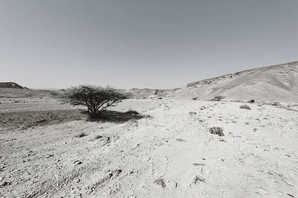 Dramatic Scene Black White Rocky Hills Negev Desert Israel Breathtaking — Stock Photo, Image