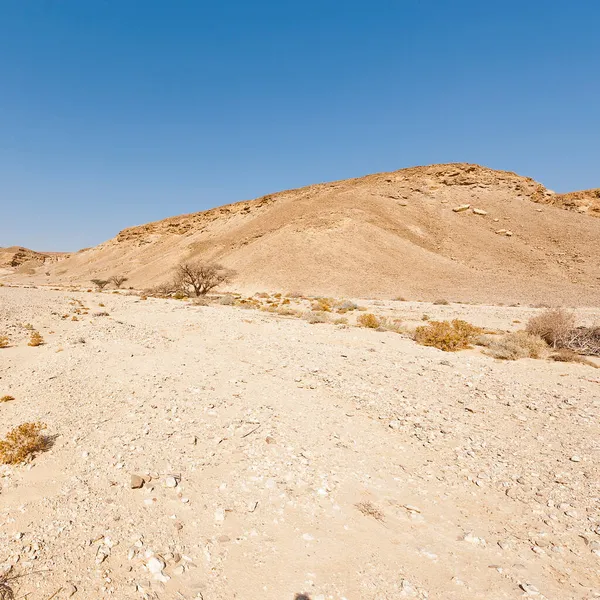 Den Ödsliga Oändligheten Klippiga Kullarna Negevöknen Israel Häpnadsväckande Landskap Och — Stockfoto