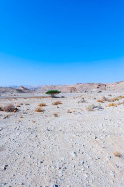 İsrail çölündeki kaya oluşumlarının nefes kesici manzarası. Yalnızlık, umutsuzluk ve depresyon kavramı olarak cansız ve ıssız bir sahne..