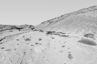 İsrail çölünde siyah beyaz kaya oluşumlarının nefes kesici manzarası. Yalnızlık, umutsuzluk ve depresyon kavramı olarak cansız ve ıssız bir sahne..