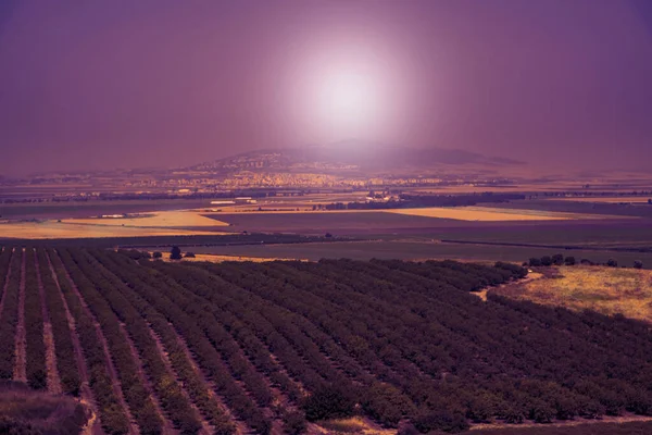 View Israeli Golan Heights Vineyards Developed Agriculture Druze Cities Paved — Stock Photo, Image