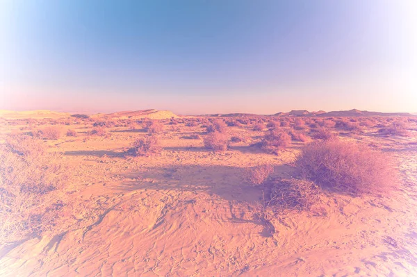 令人叹为观止的以色列沙漠岩层景观褪色效果 作为孤独 绝望和沮丧概念的无生命和凄凉景象 — 图库照片